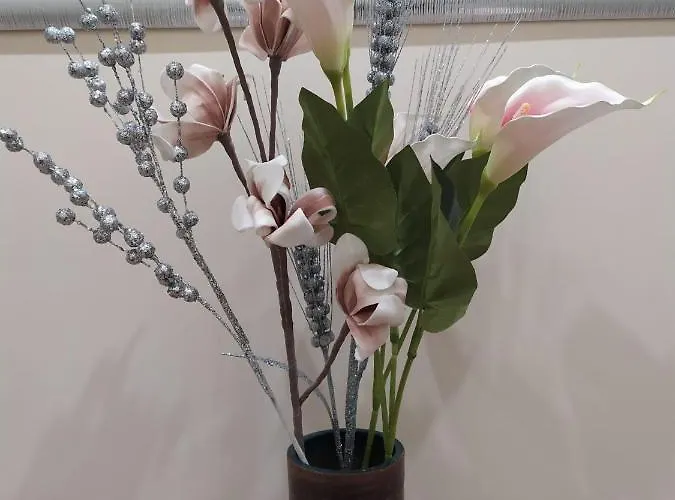 公寓 Dimora Sorriso